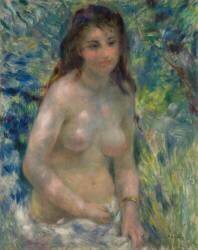 Torse, effet de soleil (Auguste Renoir) - Muzeo.com