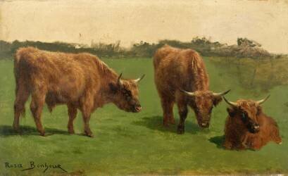 Trois études d'un boeuf roux dans un pré (Rosa Bonheur) - Muzeo.com