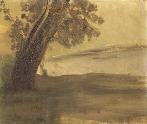 Tronc d'arbre dans la plaine (Odilon Redon) - Muzeo.com