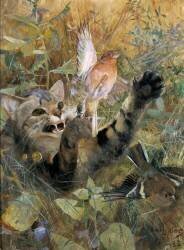 Un chat et un pinson (Bruno Liljefors) - Muzeo.com