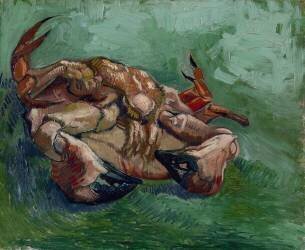 Un crabe sur le dos (Vincent van Gogh) - Muzeo.com
