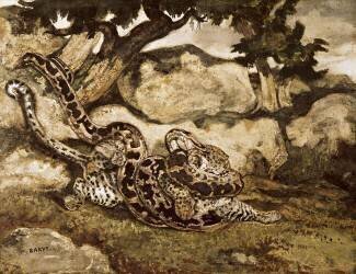 Un python qui tue un tigre (Antoine-Louis Barye) - Muzeo.com