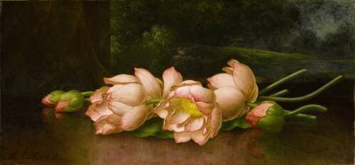 Fleurs de lotus : Un paysage (Martin Johnson Heade) - Muzeo.com