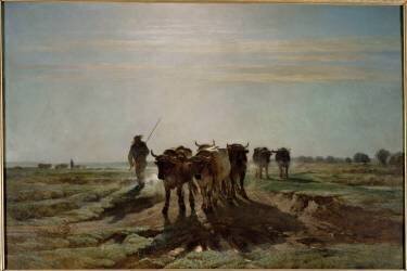 Boeufs allant au labour, effet du matin (Constant Troyon) - Muzeo.com