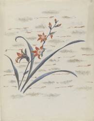 Fleur de la famille des iris (Louis Hestaux) - Muzeo.com