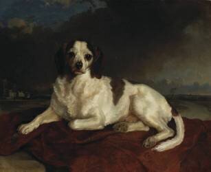 Ham, chien de Louis-Napoléon à Ham (Henriette Jacotte Cappelaere) - Muzeo.com
