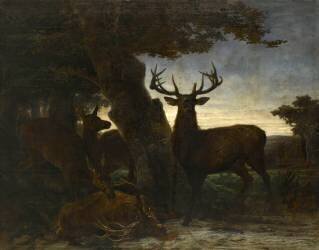 La mort du cerf (Martinus-Antonius Kuytenbrower) - Muzeo.com