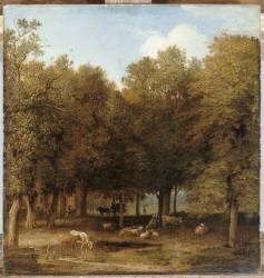 Le Bois de la Haye (Paulus Potter) - Muzeo.com