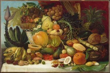 Les fruits du Nouveau Monde (Jean-Baptiste Debret) - Muzeo.com