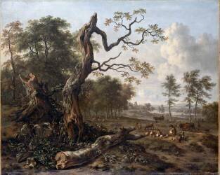 Lisière de forêt (Jan Wijnants) - Muzeo.com