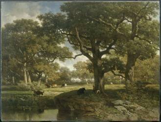 Paysage. Un boeuf vient s'abreuver à une mare (Willem Roelofs) - Muzeo.com