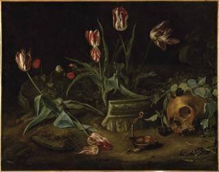 Vanité (Rachel Ruysch) - Muzeo.com