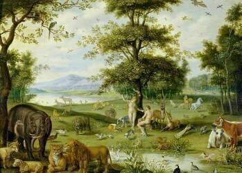 Adam et Eve dans le jardin d'Eden (Jan Brueghel l'Ancien) - Muzeo.com