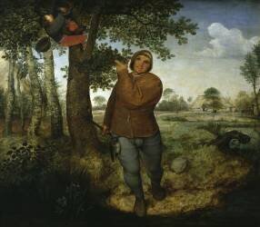 Le voleur de nid (Pieter Brueghel l'Ancien) - Muzeo.com