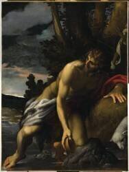 Saint Jean-Baptiste à la source (Lodovico Carracci) - Muzeo.com