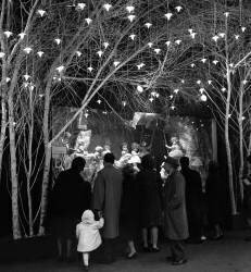 Christmas decorations (Jean Ribière) - Muzeo.com