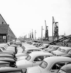 Everyday 360 French cars are leaving Le Havre, France, for the USA (cars export) : here Simca Aronde cars ready to be loaded on a cargo, April 8, 1959 (b/w photo) (Rue des Archives) - Muzeo.com