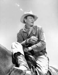 Hondo, l'homme du désert (Collection Christophel) - Muzeo.com