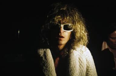 Michel Polnareff (Collection Christophel) - Muzeo.com