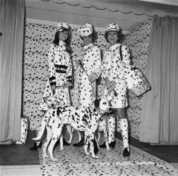 Présentation de la nouvelle mode dalmatienne par Jacques Esterel (Keystone) - Muzeo.com