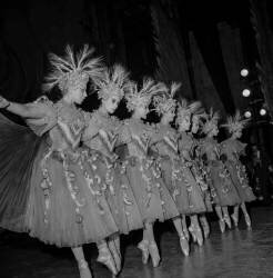 Rehearsal of ballet 