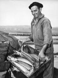 Return from fishing (Jean Ribière) - Muzeo.com