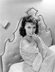 Sophia Loren (Collection Christophel) - Muzeo.com