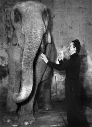 Arletty (Rue des Archives) - Muzeo.com