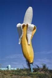 Banana Water Slide banana statue, Virginia Beach, Virginia (John Margolies) - Muzeo.com
