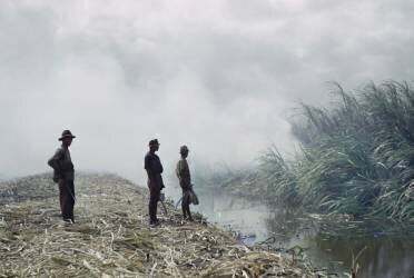 Burning Sugar Cane (Kenneth Rittener) - Muzeo.com
