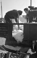 Chargement de glace à bord d'un chalutier à Port-Louis (Michel Desjardins) - Muzeo.com