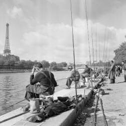 Concours de la pêche au coup (Rue des Archives) - Muzeo.com