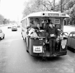 Curiosité 1966 : une vache urbaine (Keystone) - Muzeo.com