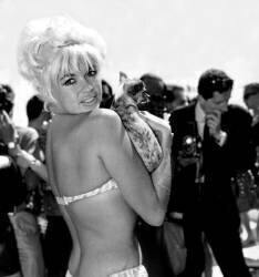 Festival de Cannes : Jayne Mansfield sur la plage avec son Chihuahua (Rue des Archives) - Muzeo.com