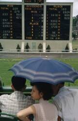 Happy Valley Racecourse (Ed Feingersh) - Muzeo.com