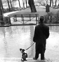 Inondations à Paris : Vue du jardin public 6 janvier 1955 (Rue des Archives) - Muzeo.com