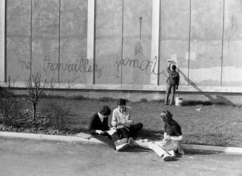 L'Université de Nanterre (Rue des Archives) - Muzeo.com