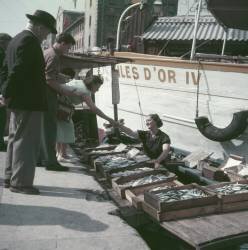 Marché dans le Vieux Port de Marseille (Eugene Kammerman) - Muzeo.com