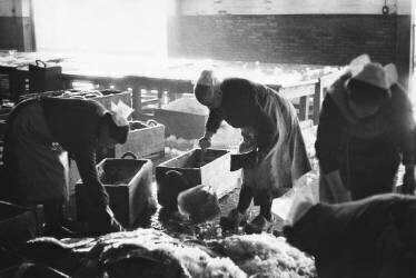 Marché à la criée dans le Morbihan (Michel Desjardins) - Muzeo.com