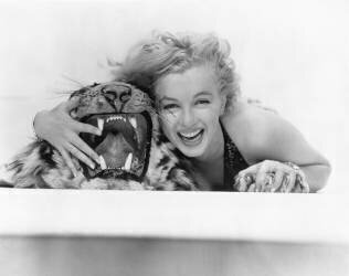 Marilyn Monroe / Le prince et la danseuse / 1957 réalisé par Laurence Olivier [Warner Bros. Pictures] (anonyme) - Muzeo.com