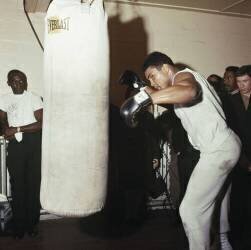 Muhammad Ali (Keystone) - Muzeo.com