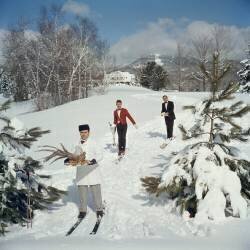 Skiing Waiters (Slim Aarons) - Muzeo.com
