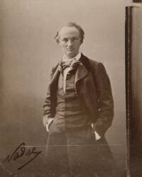 Baudelaire (Nadar) - Muzeo.com