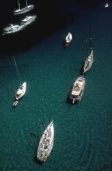 Holidaymakers' yachts off the island of Cavallo (Slim Aarons) - Muzeo.com