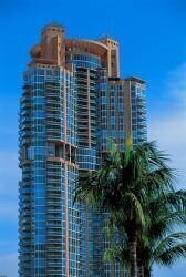 Miami, immeuble et palmier (Siegfried Stoltzfuss) - Muzeo.com