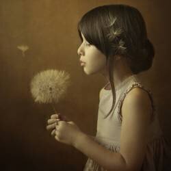 A Dandelion Poem (Svetlana Bekyarova ) - Muzeo.com