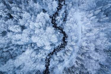 A Freezing Cold Beauty (Daniel Gastager) - Muzeo.com