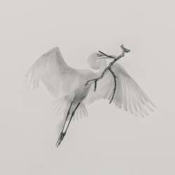 Un bon (Qing Zhao) - Muzeo.com