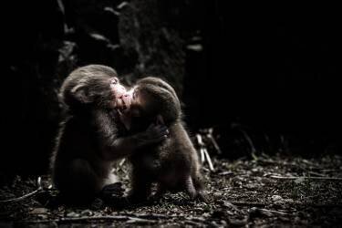 A little love story (Takeshi Marumoto) - Muzeo.com