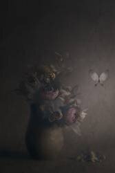 A Midsummer Dream (Çiçek Kıral) - Muzeo.com